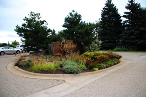 IMG_0945_R50_SVCC_PrkgPlanter.jpg